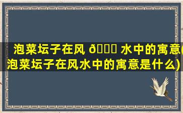 泡菜坛子在风 🐘 水中的寓意(泡菜坛子在风水中的寓意是什么)